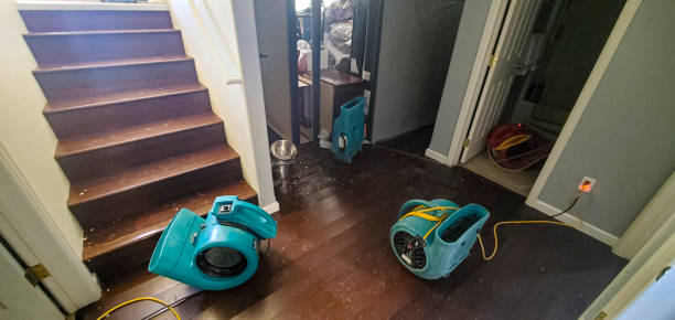 Best Fire Damage Restoration  in Air Force Academy, CO