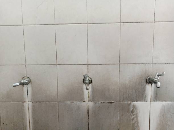 Best Mold removal after water damage  in Air Force Academy, CO