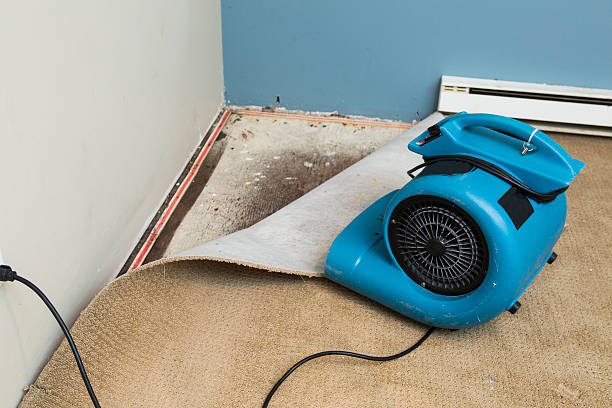 Best Commercial water damage restoration  in Air Force Academy, CO